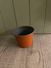 Last inn bildet i Galleri-visningsprogrammet, Plastpotte, teracotta farget, 12cm
